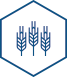 Agri-Food
