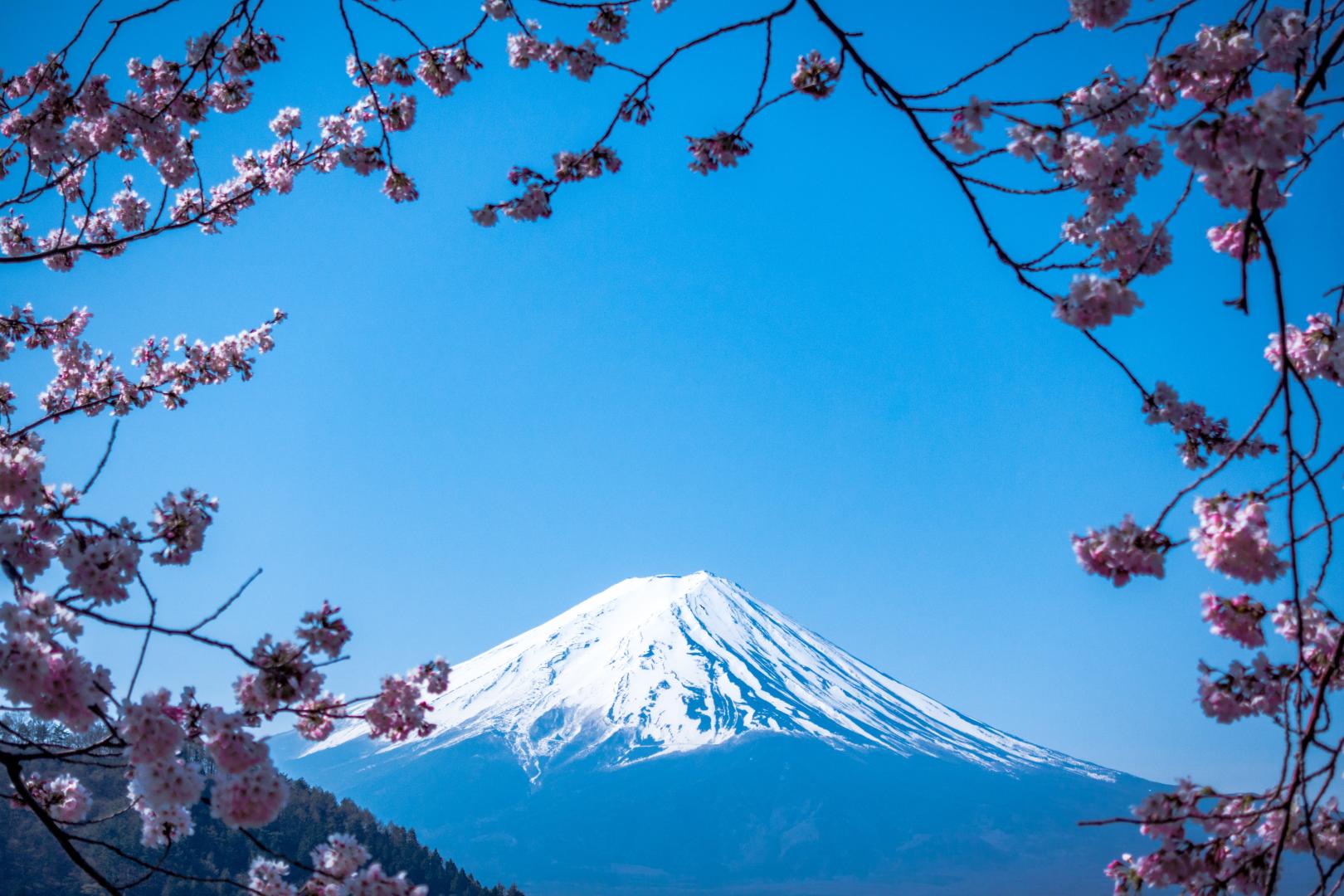 Webinar - Japan Business Culture jj-ying-9Qwbfa_RM94-unsplash