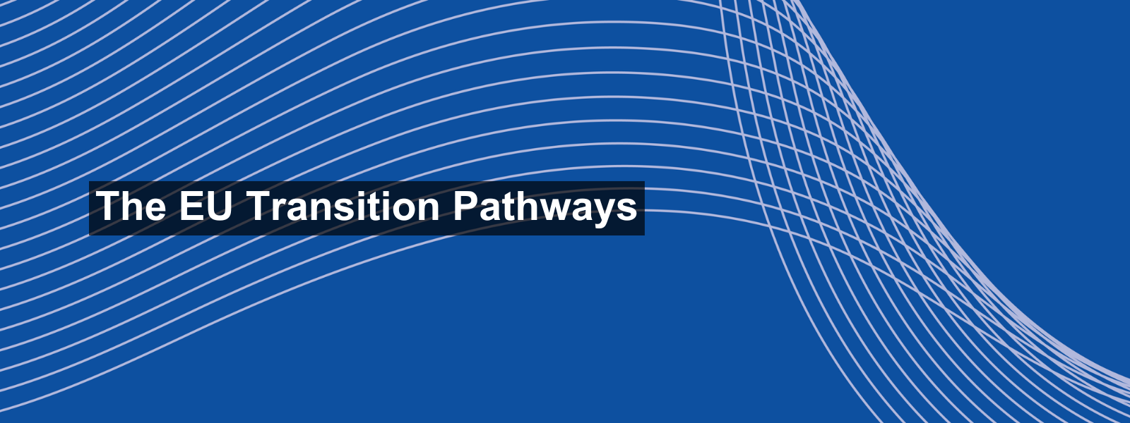 The EU Transition Pathways The EU Transition Pathways for