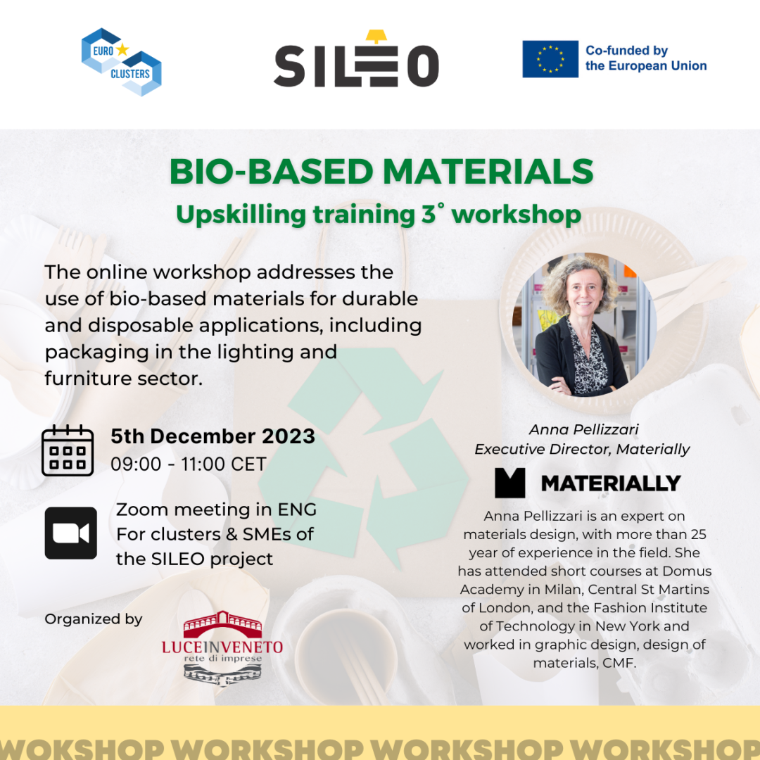 SILEO Upskilling training programme_3° workshop