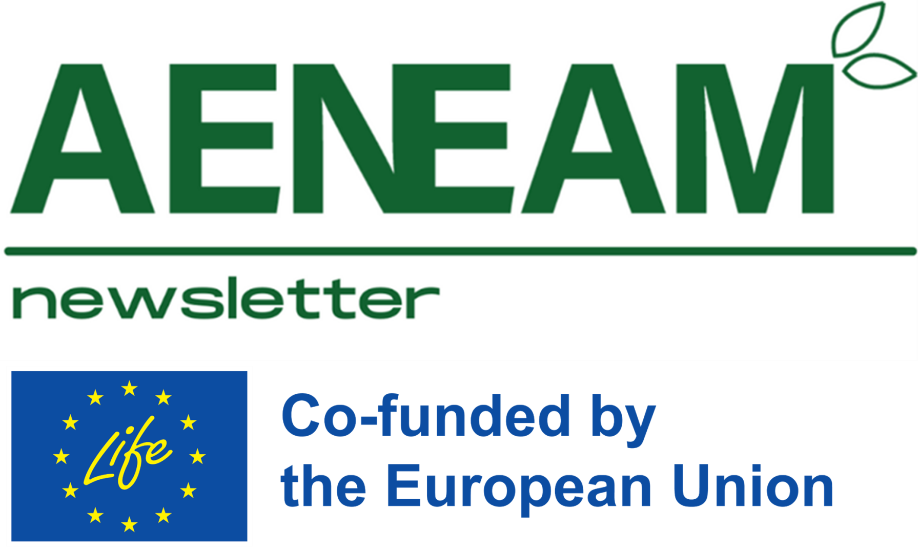 AENEAM newsletter logo with co-funded logo