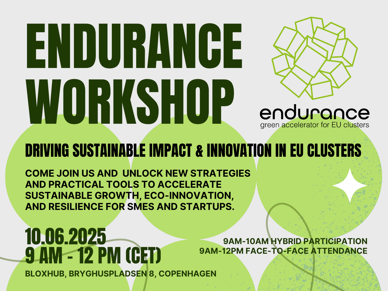 ENDURANCE Workshop