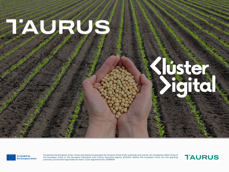 taurus-cluster digital