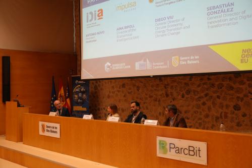Panel 1 at Clusters meet Regions in Palma