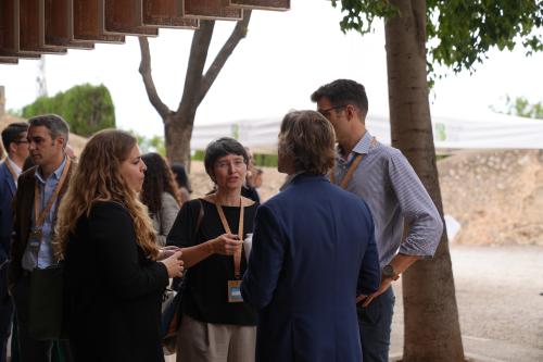 Networking at Clusters meet Regions in Palma