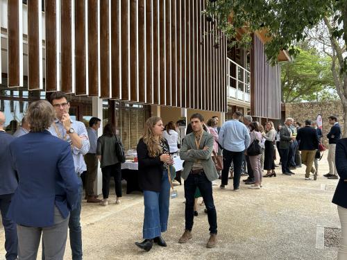 Networking at Clusters meet Regions in Palma