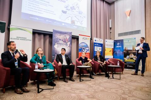 CmR Iasi Panel 2