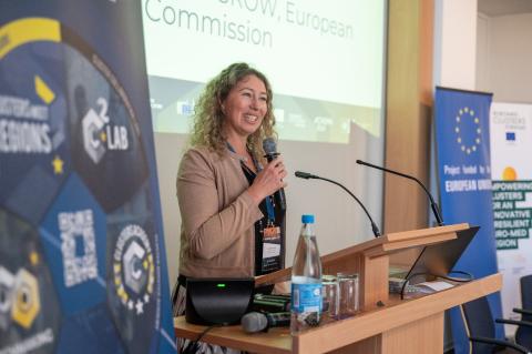 Mariella Masselink, Head of Unit for Industrial Forum, Alliances, Clusters, DG GROW, European Commission Mariella Masselink, Head of Unit for Industrial Forum, Alliances, Clusters, DG GROW, European Commission