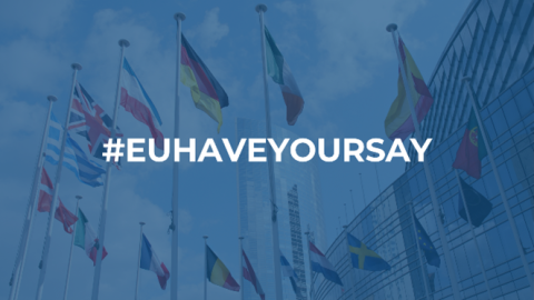 EUHAVEYOURSAY