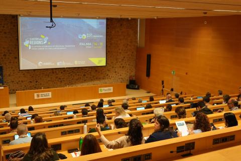 Clusters meet Regions in Palma