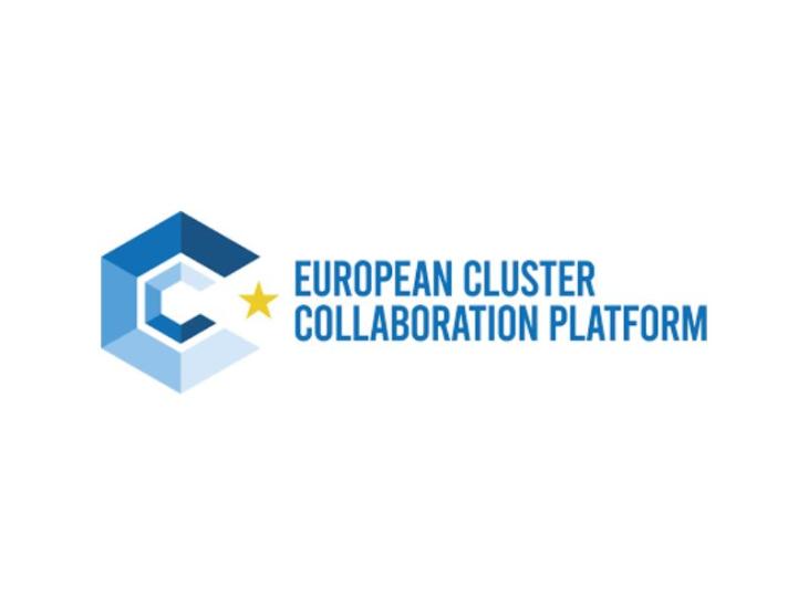 ECCP-newsletter-placeholder