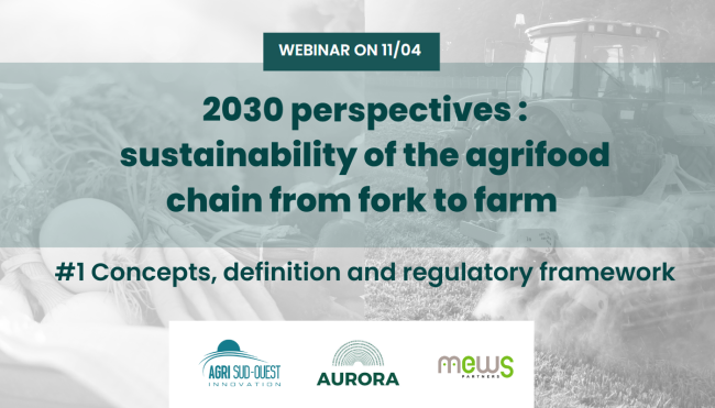 Webinar 11.04. ASOI AURORA