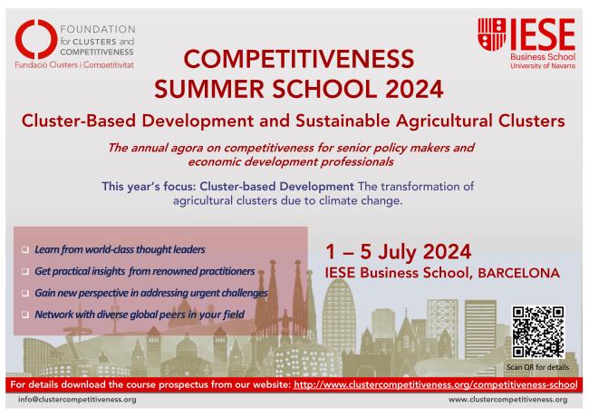 Flyer - Summer School 2024 - rev1 copy