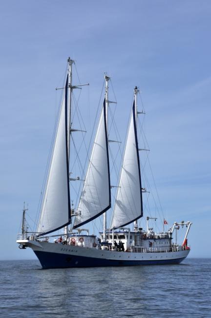 OCEANIA I  fot. Karol Kuliński IO PAN
