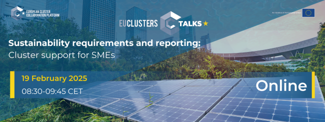 1600x600 Sustainability requirements and reporting Cluster support for SMEs
