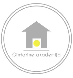 VsI Gintarine akademija logo