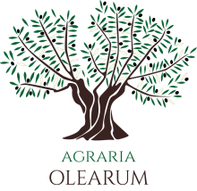 Agraria Olearum S.L. logo