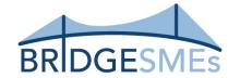BRIDGESMEs - Boosting Resilience In five industrial ecosystems through adoption and Deployment of advanced technoloGiEs among SMEs logo