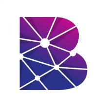 Blockchain Innovation Spaces logo