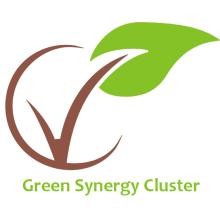 Green Synergy Cluster logo