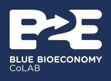 B2E - Blue Bioeconomy CoLAB logo