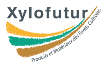 Xylofutur, innovation cluster for the forest- and wood-based sector logo