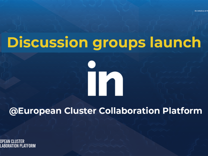 ECCP Discussion Groups